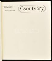 Németh Lajos: Csontváry. Bp.,1974, Corvina. Kiadói egészvászon-kötés, kiadói a gerincén kissé kopott...