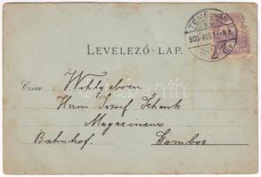 1900 Máriaradna, Mária-Radna, Radna (Lippa, Lipova); kegytemplom, belső, kegyelemkép / pilgrimage ch...