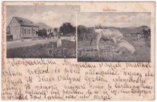 1909 Nagybánya, Baia Mare; Vasút felé vezető út, baromvásár. Kovács Gyula kiadása / road to the railway station, cattle fair, market (fl)