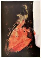 Hegyi Lóránd: Nádler István. A művész, Nádler István (1938-) által dedikált! Szerk.: Bárd Johanna, N...