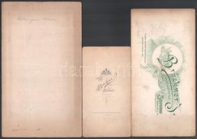 cca 1890-1900 3 db hölgyportré, keményhátú fotók Brückner J soproni műterméből, az egyik hátoldalán ...