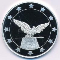 DN "Eurófantáziák - Turul" Ag emlékérem tanúsítvánnyal (20g/0,999/38,61mm) T:PP