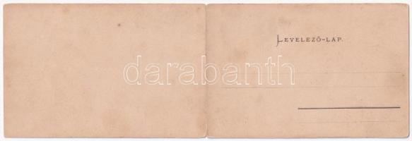 Lippa, Lipova; 2-részes kihajtható panorámalap. Theresia Zach kiadása / 2-tiled folding panoramacard...