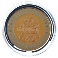 1995. "Beethoven / Európai Unió" bicolor emlékérem kapszulában (34mm) T:PP