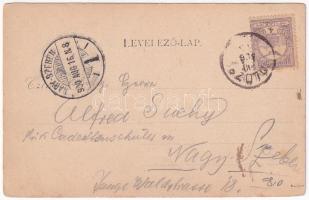 1900 Kolozs, Kolozs-sósfürdő, Kolozsfürdő, Cojocna; Veress villa / villa, spa (kopott sarkak / worn ...