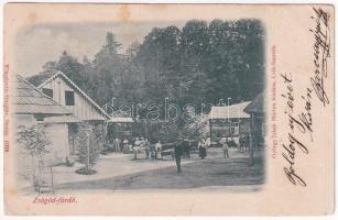 1900 Zsögödfürdő, Jigodin Bai; fürdő. György Jakab Márton kiadása. Wlaszlovits Gusztáv / spa, bath (EB)