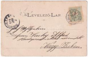 1900 Zsögödfürdő, Jigodin Bai; fürdő. György Jakab Márton kiadása. Wlaszlovits Gusztáv / spa, bath (...