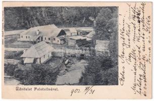 1902 Palotailva, Palota-Ilva, Lunca Bradului; fűrésztelep. Helyfi László kiadás / sawmill, lumber yard (EK)