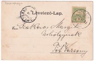 1902 Palotailva, Palota-Ilva, Lunca Bradului; fűrésztelep. Helyfi László kiadás / sawmill, lumber ya...