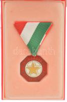 ~1970. "A Szocialista Kultúráért" műgyantás fém kitüntetés mellszalagon, tokban T:1-