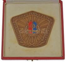 1977. Eredményes Szakszervezeti Munkáért 1877-1903 egyoldalas, zománcbetétes bronz plakett eredeti tokban (79x91mm) T:AU
