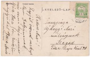 1916 Marilla, Marillavölgy, Marila; Svájci házikó. Káden József kiadása / chalet, villa, spa (EK)