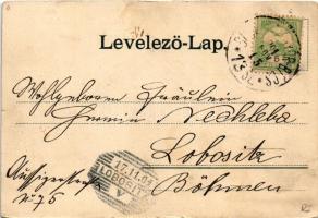 1901 Komárom, Komárno; Ferenc József rakpart, híd. Czike Dénes kiadása / bridge, quay (r)