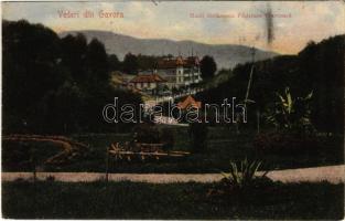 1906 Baile Govora, Hotel Stefanescu Positiune Pitoreasca / hotel, spa (EK)