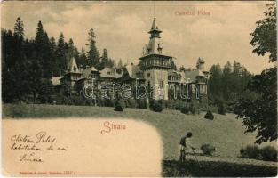 Sinaia, Castelul Peles / castle (EK)