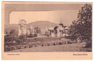 1910 Menyháza-fürdő, Monyásza, Baile Moneasa; Paradeiser villák. Illés Albert kiadása / villas (lyuk / hole)