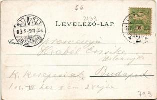 1902 Pozsony, Pressburg, Bratislava; Aupark / Liget / park (kopott sarkak / worn corners)