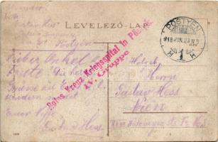 1918 Pöstyén, Piestany; Pro Patria katonai szanatórium / military sanatorium, spa + "Rotes Kreu...