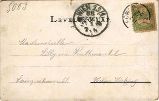 1900 Tátrafüred, Ótátrafüred, Altschmecks, Stary Smokovec (Tátra, Magas-Tátra, Vysoké Tatry); Maurer...