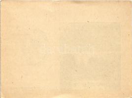 Nagybánya, Baia Mare; látkép, Forrásliget. Kiadja az Ifjúsági Bélyeggyűjtők Országos Szaklapja &quot...