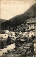 Rio di Pusteria, Mühlbach im Pustertal (Südtirol); general view. Verlag Anna Sandbichler (EK)
