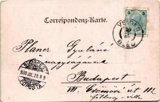 1900 Bled, Veldes; Rothweinklamm mit Wasserfall. Art Nouveau, floral (worn corners)