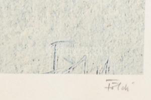 Földi Péter (1947-): Madárfiú. Computer print, merített papír, jelzett, számozott (2/6), üvegezett f...