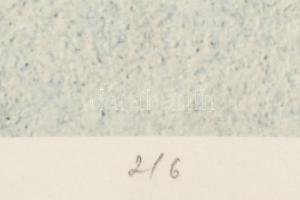 Földi Péter (1947-): Madárfiú. Computer print, merített papír, jelzett, számozott (2/6), üvegezett f...