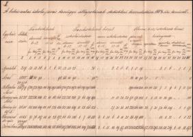 1884 A békéscsabai iskola-járás tanügyi állapotának statistikai kimutatása 1883/84-diki tanévről. Hajtva, 42x34 cm