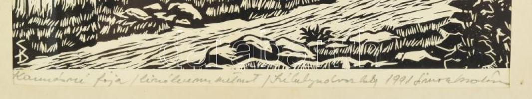 Simon, Blaise (Balázs) (1938-): Kannásné fája, Székelyudvarhely, 1991. Linómetszet, papír, jelzett. ...