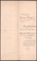 1893 Bp., a m. kir. igazságügyminisztérium által kiállított kinevezés / fizetési besorolás, Szabó Bé...