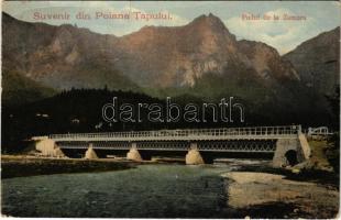 1916 Poiana Tapului, Podul la Zamura / bridge. Editura V. Teodorescu (tear)