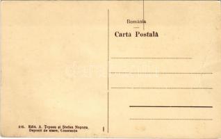 Movila, Vila Zograffi / villa (fa)