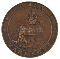 cca 1920-1930. Fejér Vármegye egyoldalas öntött bronz plakett, d: 110 mm