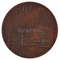 Simon Ferenc (1922-) 1970. "Békéscsaba / IX. Közgazdász Vándorgyűlés" bronz emlékérem tokb...