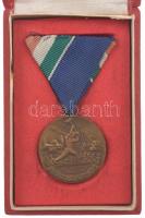 1960. Árvízvédelemért bronz kitüntető jelvény mellszalagon, eredeti tokban (35mm) T:XF
