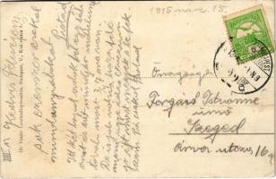 1915 Hatvan, Zagyva részlet az új és fekete híddal. Vasúti levelezőlapárusítás (EK)