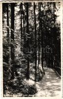 1941 Kolozsvár, Cluj; Botanikus kert / botanical garden