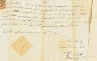 1905 Bírói vizsga bizonyítvány + aljegyzői kinevezés Szentkirályi Miklós részére