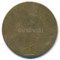 Göröntsér Greff Lajos (1888-1976) 1907. "M.U.SZ. (Magyar Úszó Szövetség)" bronz emlékérem,...