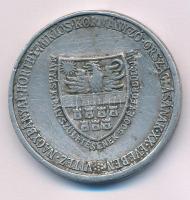 1940. "Erdélyi részek felszabadulásának emlékére" Al emlékérem mellszalag nélkül és fül né...