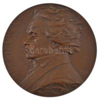 Ausztria DN (1905) Beethoven kétoldalas bronz emlékérem. Szign.: Rudolf Mayer (60mm) T:AU,XF Austria ND (1905) Beethoven double-sided bronze commemorative medallion. Sign.: Rudolf Mayer (60mm) C:AU,XF