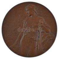 Ausztria DN (1905) "Beethoven" kétoldalas bronz emlékérem. Szign.: Rudolf Mayer (60mm) T:A...
