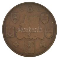 Lapis András (1942-) DN "Szeged / Szeged Tourist" kétoldalas bronz emlékérem (42,5mm) T:XF