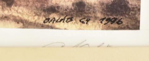 Balázs György (?-): Hangulatos táj. Akvarell, papír, jelzett, paszpartuban. 20x27 cm