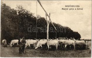 1925 Mezőhegyes, Magyar gulya a kútnál