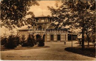 1920 Miskolc, Népkerti vigadó