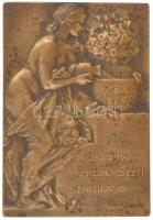 Róna József (1861-1939) 1911. Országos Magyar Képzőművészeti Társulat egyoldalas bronz plakett (88x60mm) T:AU patina HP 4511.