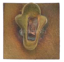 DN "Főmolnárok Országos Szövetsége" műgyantás fém gomblyuk jelvény (19x19mm) T:XF hátoldal...