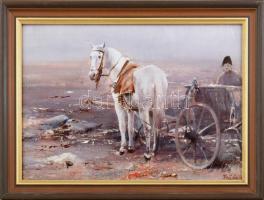 Fejér Csaba(1936-2002): Fehér ló, fogatban. Olaj, farost, jelzett, 35x50 cm Üvegezett keretben.